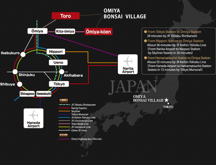 OMIYA BONSAI VILLAGE Transportation access map